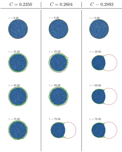 Figure 4.8: Time series for different values of C . Depending on the level of contraction, the cell can show a stable behavior (left row), blebbing with a late onset (middle), or nearly instantaneous blebbing (right).