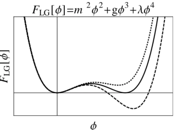 Figure 3.2: Landau-Ginzburg free energy for nonzero cubic terms g 6 = 0.