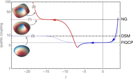 Figure 3.5: Flow of the quartic coupling into the different regimes: (1) for g ≡ 0 the flow generically starts in the symmetric regime in the ultraviolet and can be fine-tuned to approach the FIQCP