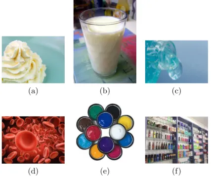 Figure 1.2: Types of colloids in our daily life. (a) Icecream (b) milk (c) hydrogel (d) blood (e) paints (f) cosmetics