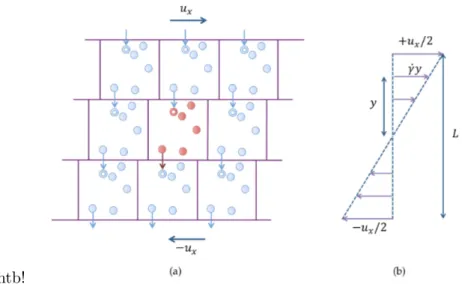 Figure 2.8: (a) Illustration of Lees-Edwards boundary conditions for a simulation box under shear flow