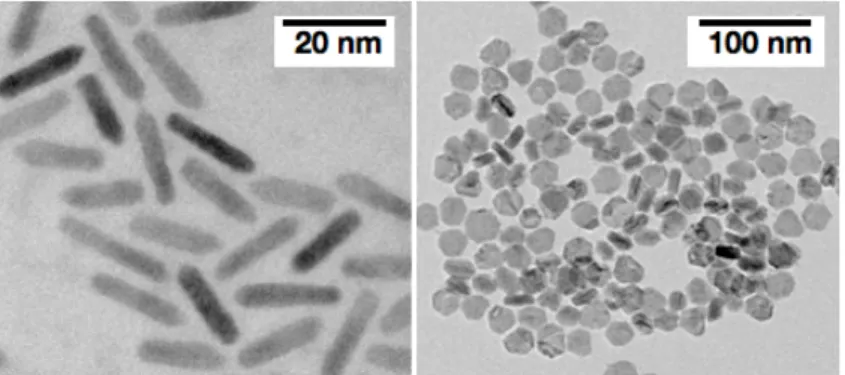 Figure 3.1: Example of transmission electron images of rod-like (sample A) and disk- disk-like (sample D) quantum dots.