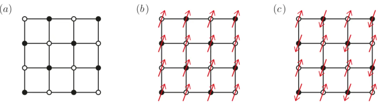 Figure 1.2. Heisenberg model on the square lattice. (a) Bipartite character of the square lattice