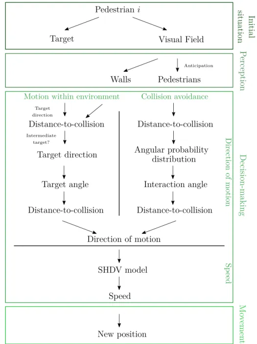 Figure 3.1: An update step is based on the pedestrians’ current position and con- con-sists of three phases: perception of the environment and other  pedes-trians, decision-making on the direction of motion and the velocity and movement.