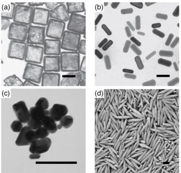 Figure 1.6: Representative structures for (a) cube-like and (b) rod-like gold nanoparticles, (c) irregular silver nanoparticles, and (d) hematite nanospindles