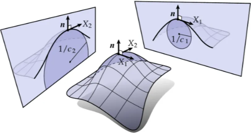 Figure 2.3: Illustrations of the normal vectors, principle directions and principle curvatures.
