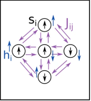 Figure 2.1: Schematic view of the Ising model. Binary spins s i interact via pairwise couplings J i j and are subject to external magnetic fi elds h i .