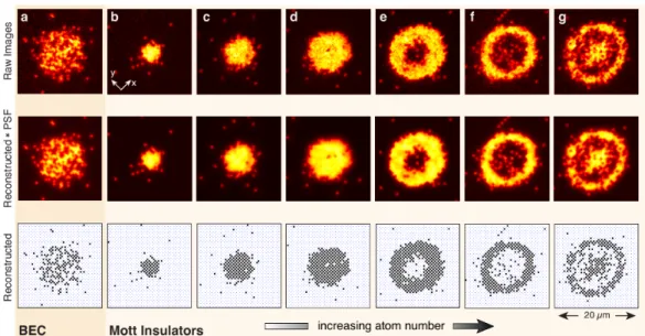 Figure 2.1: Quantum microscope images showing the BEC to Mott insulator transition. (taken from [88]) The light dots in the upper two rows indicate the  pres-ence of an atom