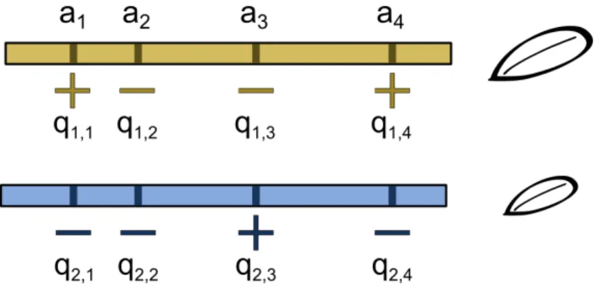 Figure 3.1: QTL data available from QTL experiments. From a QTL experiment one obtains the following data necessary for the selection test: the additive effect a l that is fixed for locus l in all lines i = 1, 