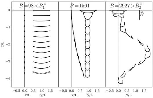 Figure 4.1.: Snapshots from simulations of single filaments dragged by the external homogeneous field B = mgL 2 /κ, where L is the filament length, g the external field, and κ the bending stiffness