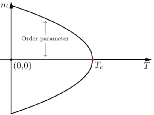 Figure 1.1: Zero-field magnetization of a classical ferromagnet without an applied field H = 0.
