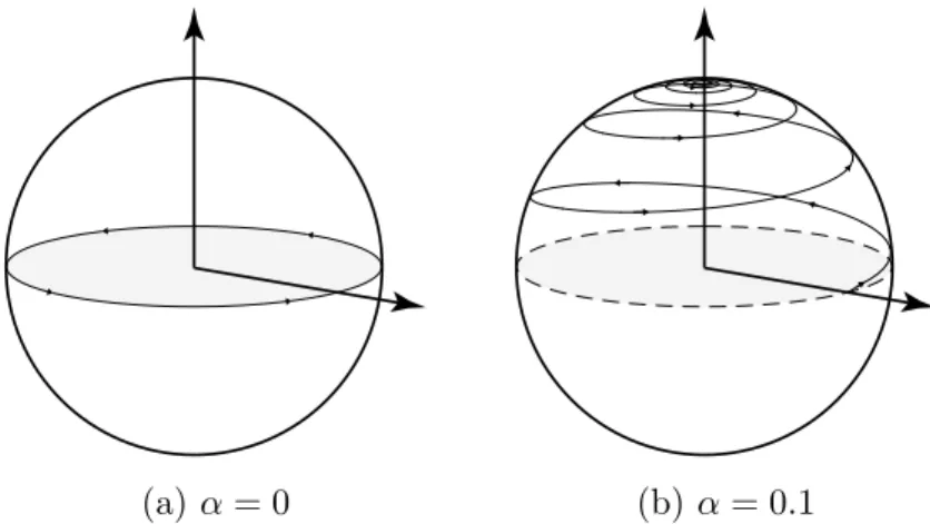 Figure 3.2: Solutions of the equations of motion