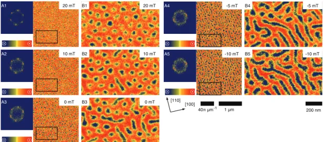 Figure 4.8: Typical magnetic force microscopy data for Fe 1 x Co x Si (x = 0.5) at various magnetic field strengths B