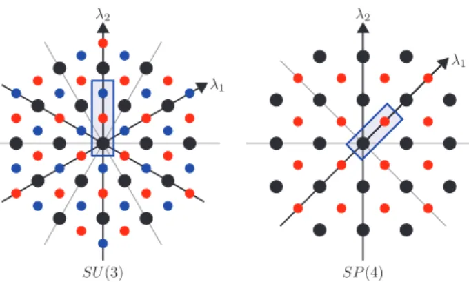 FIG. 4. (Color online) Visualization of different congruence classes for SU (3) and SP (4)