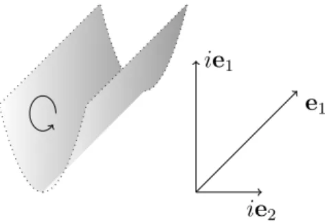 Figure 1.2: Sch¨ afer-Wegner domain of integration.
