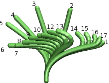 Figure 2.11: Beat cycle of isolated cilia. Each frame is 10 time units apart.