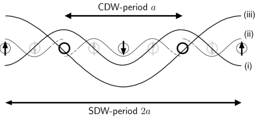 Fig. B.1: Sketch of the charge and spin density wave in the CuO 2 -planes, sideview; circles stand for the Cu-sites with thickness proportional to hole concentration