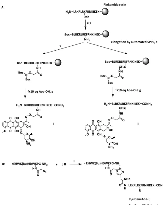 Figure 18. Synthetic strategy of the full conjugates GnRH-III-sC18(Dau) and GnRH-III-sC18(GFLG-Dau)