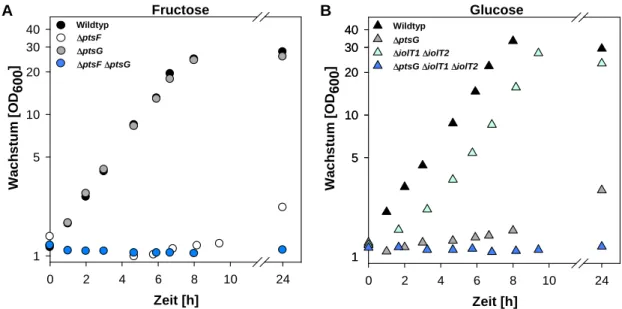 Abbildung  11.  Wachstum  von  C.  glutamicum  Deletionsmutanten  der  Fructose-  und  Glucose- Glucose-aufnahmesysteme  mit  Fructose  (A)  und  Glucose  (B)  als  Substrat