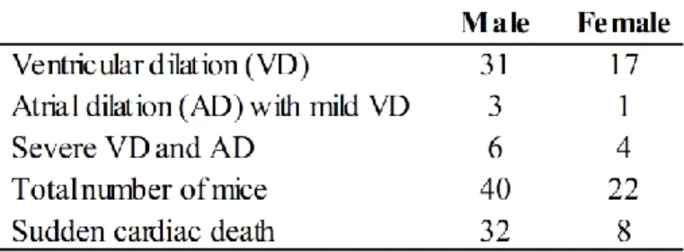 Table 3.1: Gross morphological cardiac defects observed in Cap2 gt/gt  mice.  
