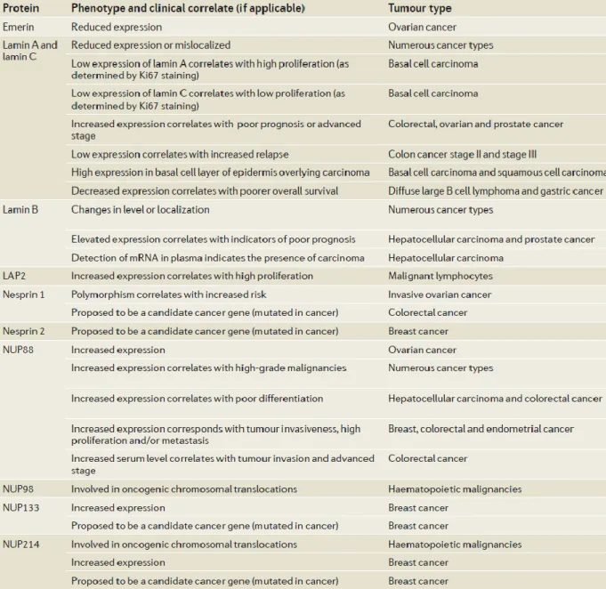 Table  3:  Nuclear  envelope  components  and  tumorigenesis.  The  table  summarizes  cancer-associated  alterations  in  the  nuclear  envelope  components  (modified from (Chow et al., 2012))