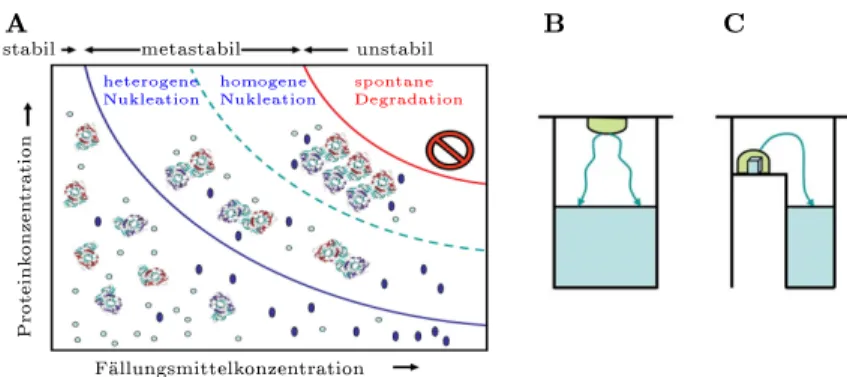 Abbildung 3.2: Grundlagen der Proteinkristallisation