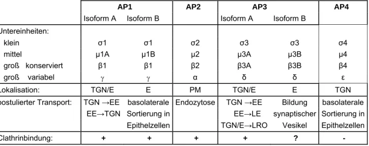 Tabelle 1.1. Heterotetramere Adaptorkomplexe. E: Endosom, EE: frühes Endosom, LRO: 