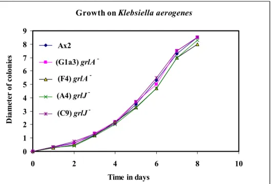 Figure 17A. Growth of grlA -  and grlJ -  on a bacterial lawn. SM agar plates were spread evenly with  Klebsiella aerogenes and either Ax2, grlA -  or grlJ −  cells taken from the clearing zone of the respective  strains were spotted at the center of the e
