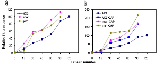 Figure 25: Quantitative analysis of phagocytosis in aca - , pia -  cells  and mutants expressing CAP-GFP