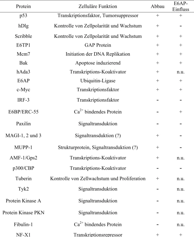 Tabelle 1: Beschriebene zelluläre Proteine, die an ´high risk´ HPV E6 Onkoproteine  binden können 