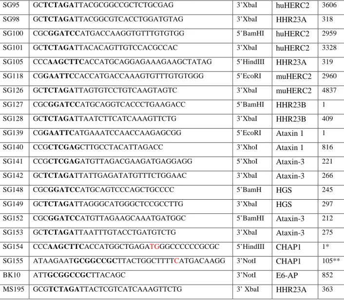 Tabelle 8: Synthetisch hergestellte Oligonukleotide zur Klonierung. Die Erkennungssequenz für die jeweils  angegebene(n) Restriktionsendonuklease(n) ist fett dargestellt (A, Adenin; C, Cytosin; G, Guanin; T, Thymin)