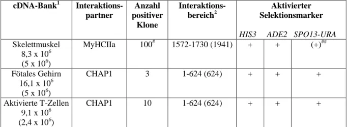 Tabelle 10:  Isolierte Interaktionspartner von E6-AP im YTH.  Es wurden die angegebenen cDNA-Banken  eingesetzt