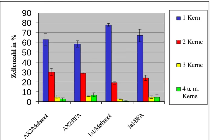 Abb. 11: Anzahl der Zellkerne pro Zelle für AX2- und 1a1-Kulturen bei Behandlung mit  Brefeldin  A in  Methanol und unter alleinigem  Methanoleinfluß