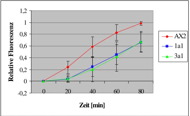 Abbildung 26 läßt deutlich erkennen, daß die durchschnittlich phagozytierte Hefezahl mit  rund 0,79 Hefen/Zelle in AX2 zu Beginn des Experimentes (zehn Minuten) deutlich höher ist  als in 1a1-Zellen (0,37 Hefen/Zelle)