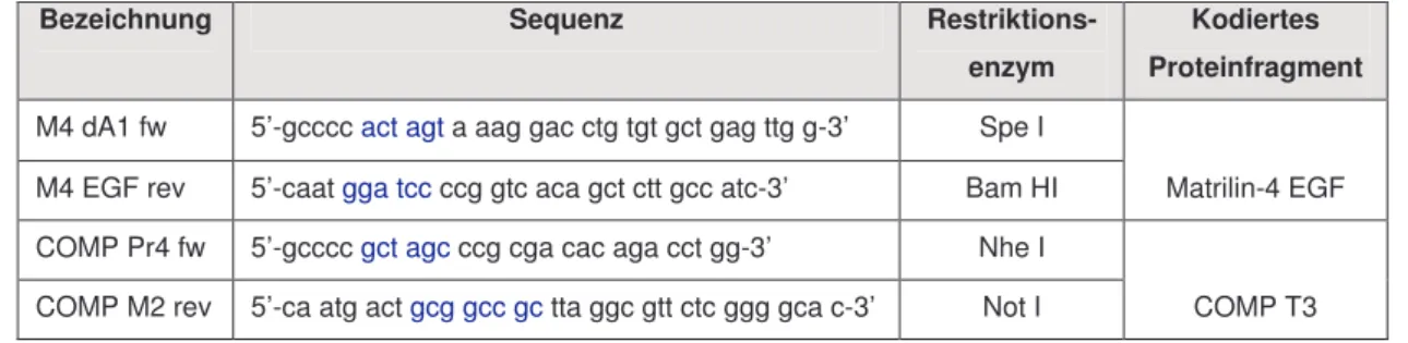 Tab.  2.3:  Verwendete  Oligonukleotide  und  ihre  Sequenzen.  Die  Erkennungssequenzen  der  Restriktionsenzyme sind blau markiert