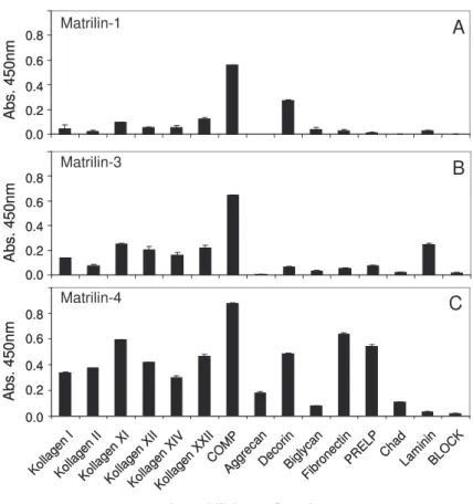 Abb.  3.3:  ELISA-ähnlicher  Versuch  zur  Identifikation  von  Bindungspartnern  für  Matrilin-1,  -3  und  –4