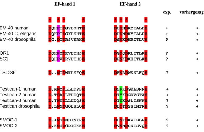 Abb. 1-5: Sequenzvergleich der EF-Hand Motive der Proteine der BM-40 Proteinfamilie. Für alle Proteine ist eine Bindung von Calcium vorhergesagt