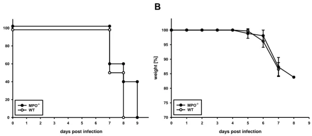 Fig. 1  Clinical course of meningitis after i.c. infection with LCMV 