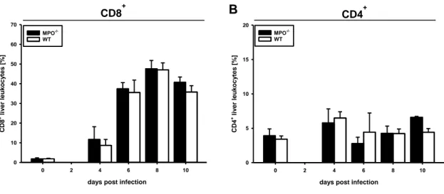 Fig. 11 Kinetics of hepatic CD8 +  and CD4 +  T cells during acute LCMV-induced hepatitis  Groups of MPO -/-  and wt mice were infected by i.p