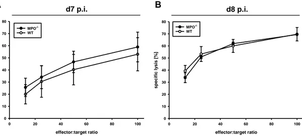 Fig. 12 Cytotoxic activity of liver-infiltrating CD8 +  T cells on days 7 and 8 p.i. 