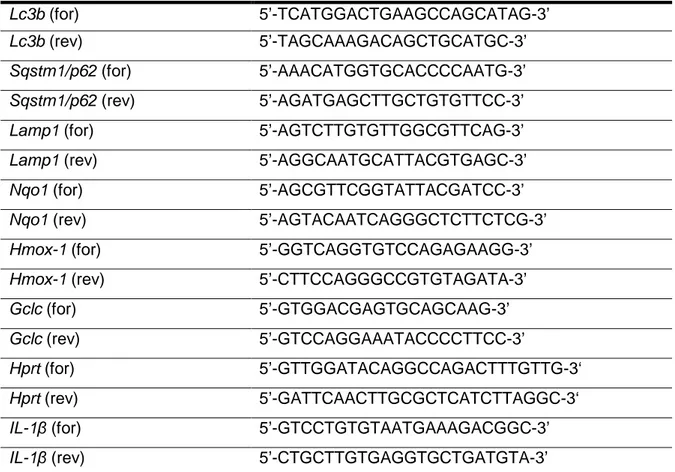 Table 1. List of primers used in this study. for, forward. rev, reverse. 