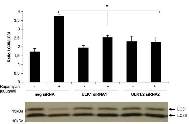 Abb. 13 Bestimmung der Ratio LC3II/LC3I in HeLa-Zellen nach Hemmung der Expression  von ULK1 und ULK1/2 durch siRNA-Interferenz