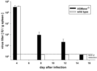 Fig. 2  Delayed clearance of the LCMV from the spleen of acutely infected ASMase -/-  mice  (unpulished data) 