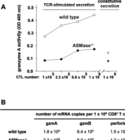 Fig. 5  Reduced secretion of granzyme A by virus-specific ASMase -/-  CTL 