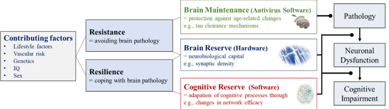 Figure 7  – The framework of resistance and resilience in Alzheimer’s disease.  Contributing factors that support  resilience and resistance mechanisms are for example lifestyle factors or distinct genes