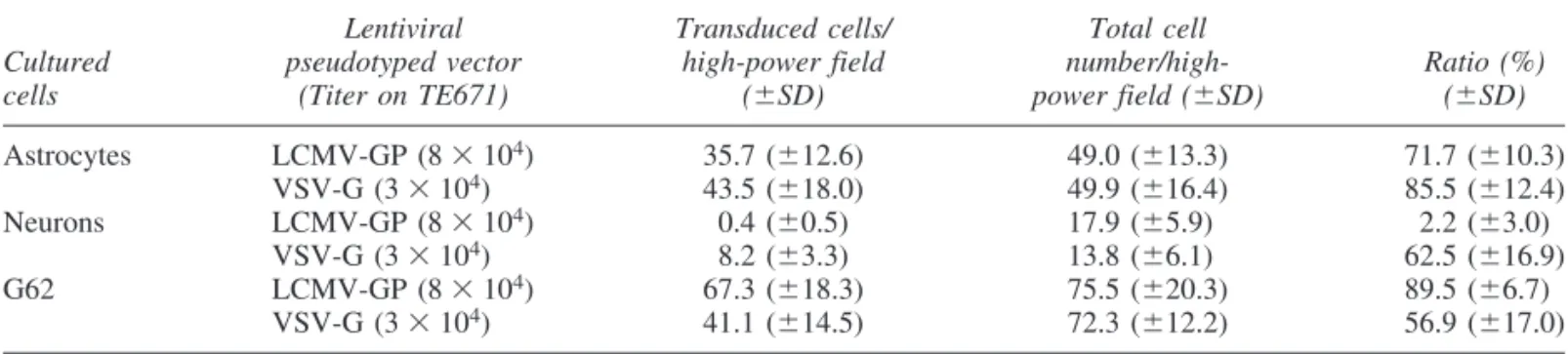 FIG.  1. Neurons  and  astrocytes  were  transduced  by  VSV-G-pseudotyped  lentiviral  vectors in  vivo