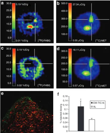 Figure 5  detection of bone marrow–derived tumor-infiltrating cells  (BM-tIcs)  expressing  the  thymidine  kinase  and  green  fluorescent  protein  (BM-tIc-tk-GFP)  by  positron  emission  tomography  (Pet)  imaging