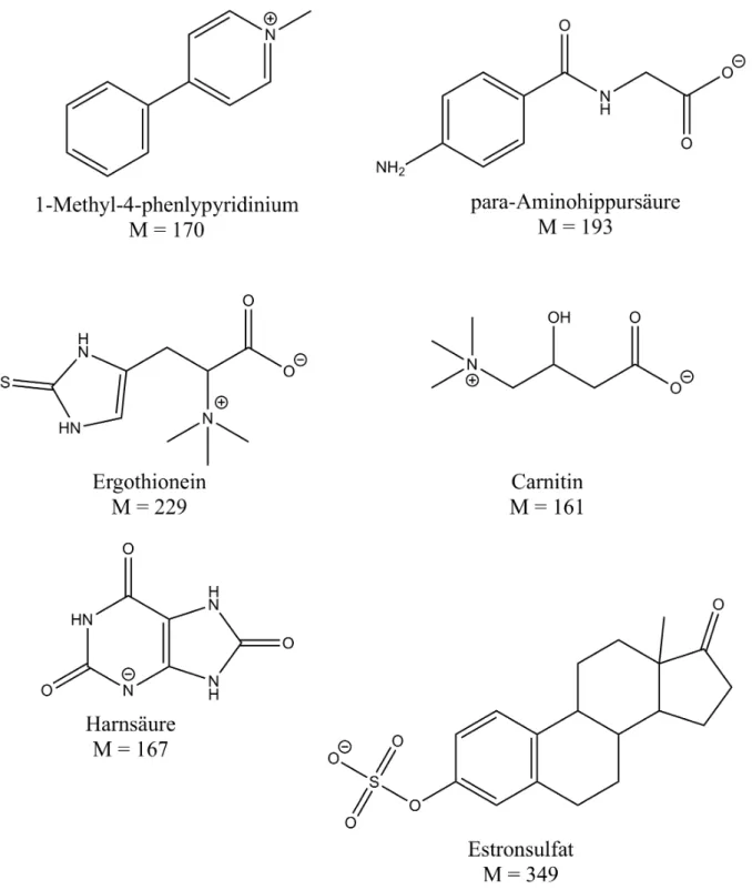 Abb. 11   Verschiedene Substrate der SLC22-Familie sowie Estronsulfat 