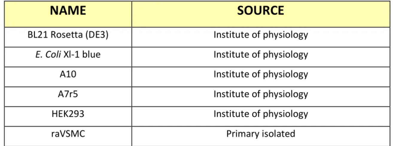 Table 6 List of used bacterial for cloning and sub-cloning process.  