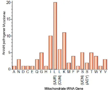 Abb. 8  Häufigkeitsverteilung mitochondrialer tRNA-Mutationen. 